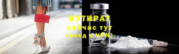 сатива Волоколамск
