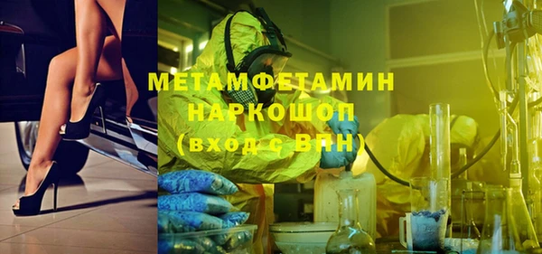 сатива Волоколамск