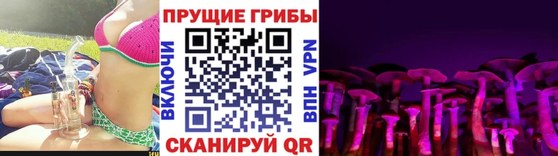 Псилоцибиновые грибы GOLDEN TEACHER  Любань 